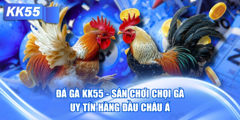 Đá Gà KK55 - Sân Chơi Chọi Gà Uy Tín Hàng Đầu Châu Á