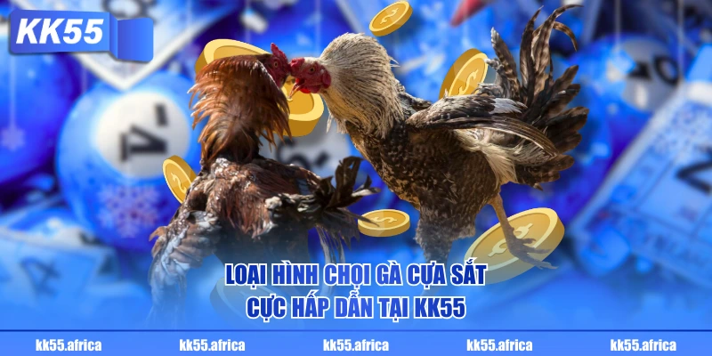 Loại hình chọi gà cựa sắt cực hấp dẫn tại KK55